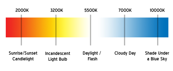 کدام رنگ‌ها مناسب چراغ‌های جلو هستند؟